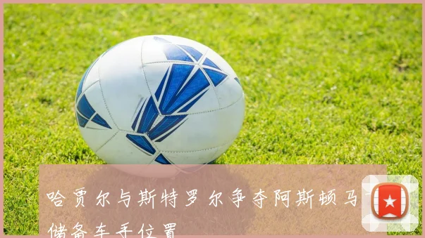 哈贾尔与斯特罗尔争夺阿斯顿马丁储备车手位置